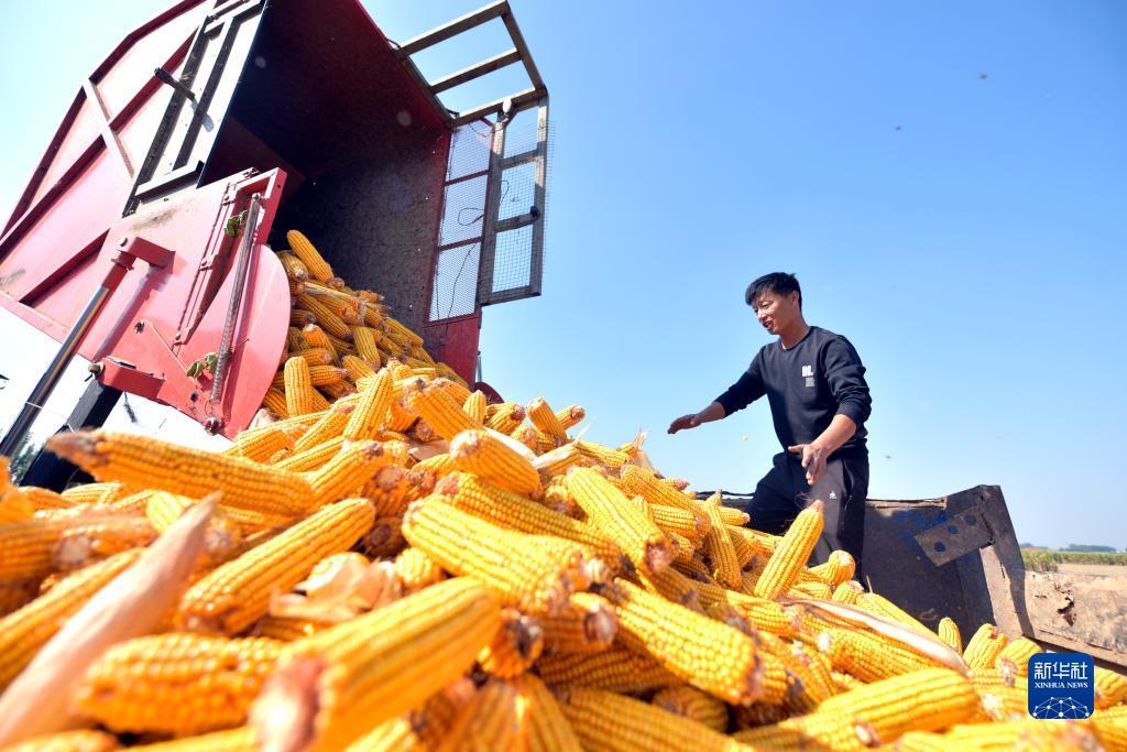 自助领取8—88体验金